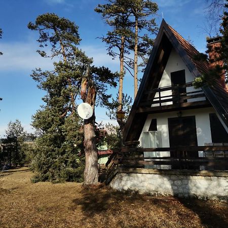 Apartamento Vila Jovanovic Zlatibor Exterior foto