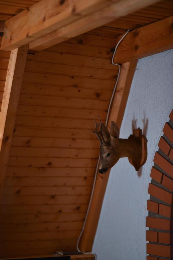 Apartamento Vila Jovanovic Zlatibor Exterior foto